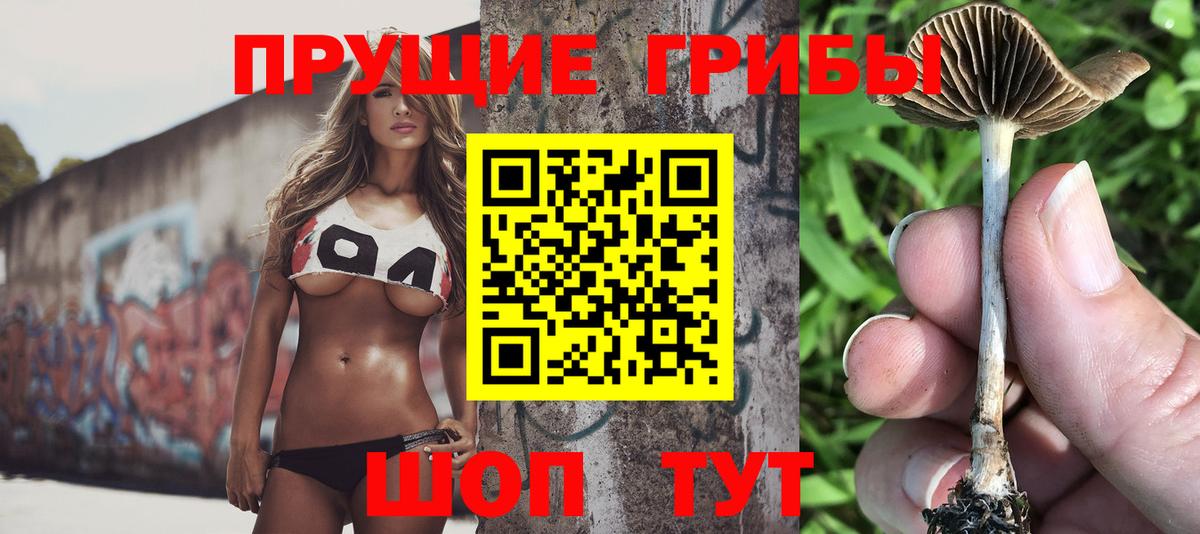 Биробиджан  продажа наркотиков  Вход с VPN  Псилоцибиновые грибы Magic Shrooms 
